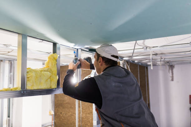 Best Eco-Friendly Insulation in Lake Lure, NC