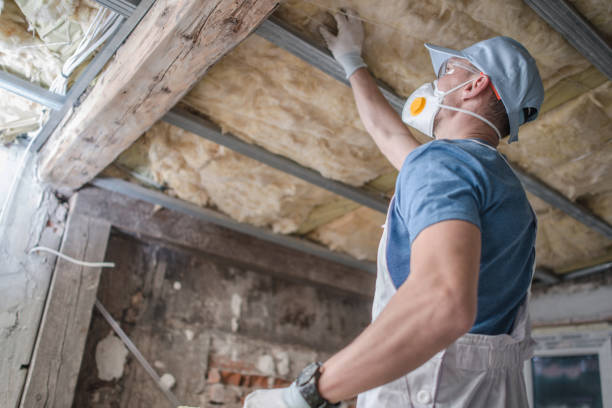 Best Specialized Insulation Services in Lake Lure, NC