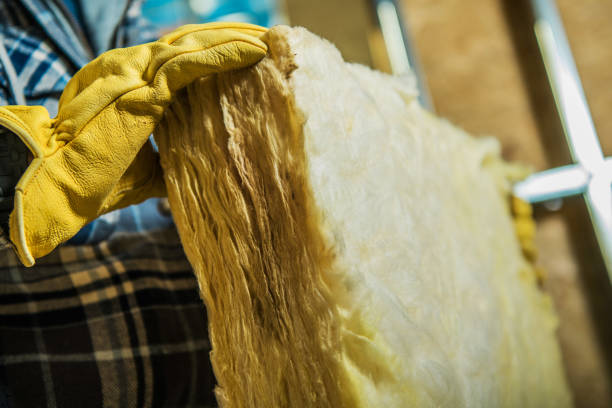 Best Residential Insulation in Lake Lure, NC