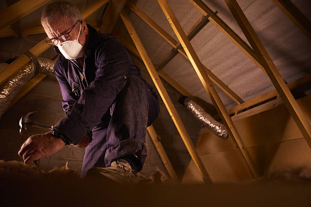 Best Geographic-Specific Insulation Services in Lake Lure, NC